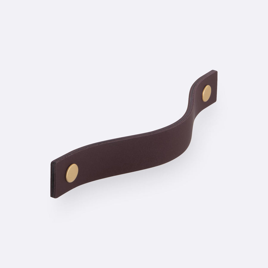 Juniper Handle Pull by Schwinn