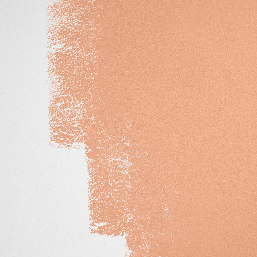 Cabinet & Door Interior Paint by Backdrop - Aperitivo Hour
