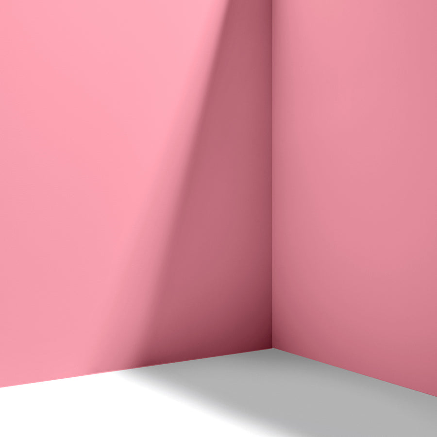 Cabinet & Door Interior Paint by Backdrop - Barragan-Cito
