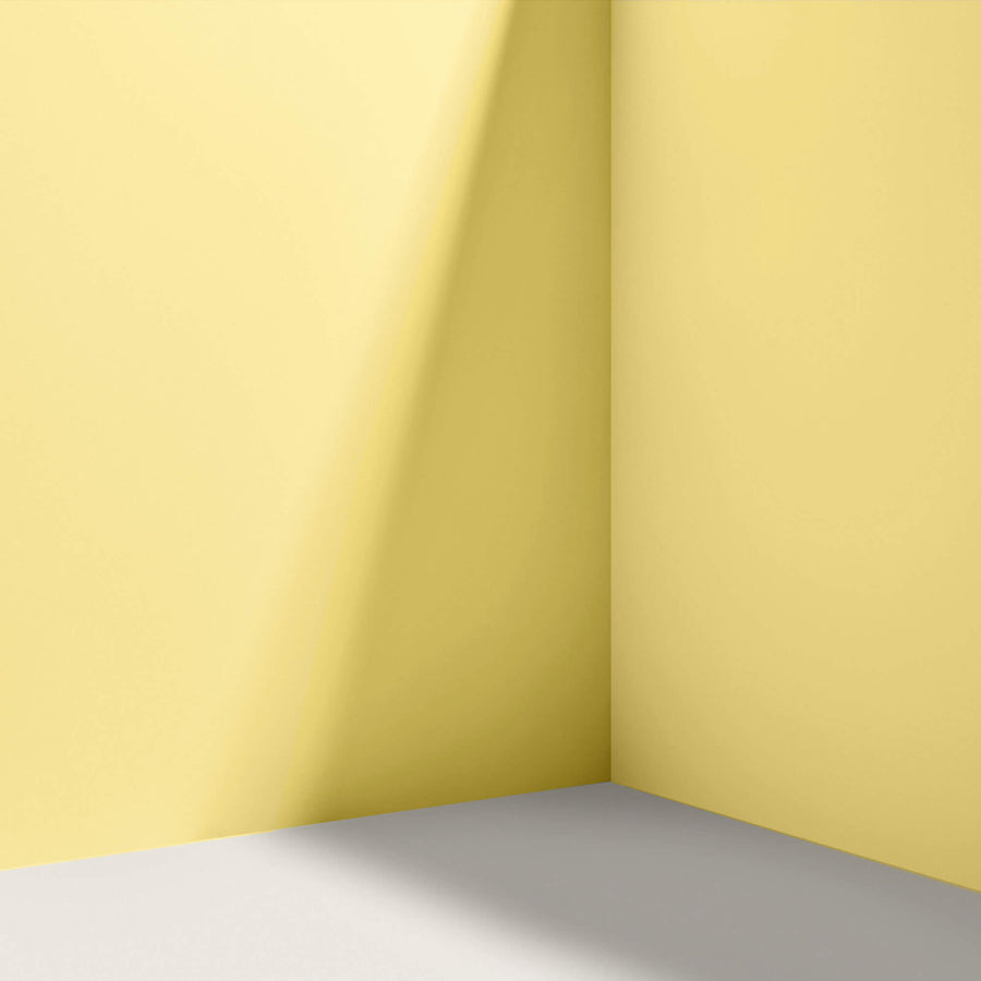 Cabinet & Door Interior Paint by Backdrop - Disco Nap