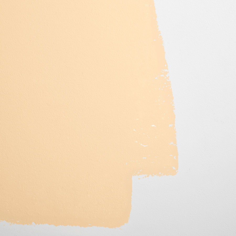Cabinet & Door Interior Paint by Backdrop - Earthly Delights