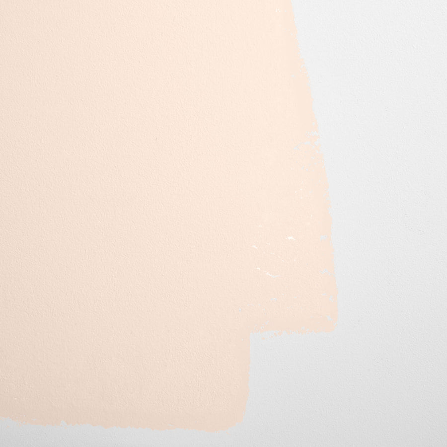 Cabinet & Door Interior Paint by Backdrop - Harajuku Morning