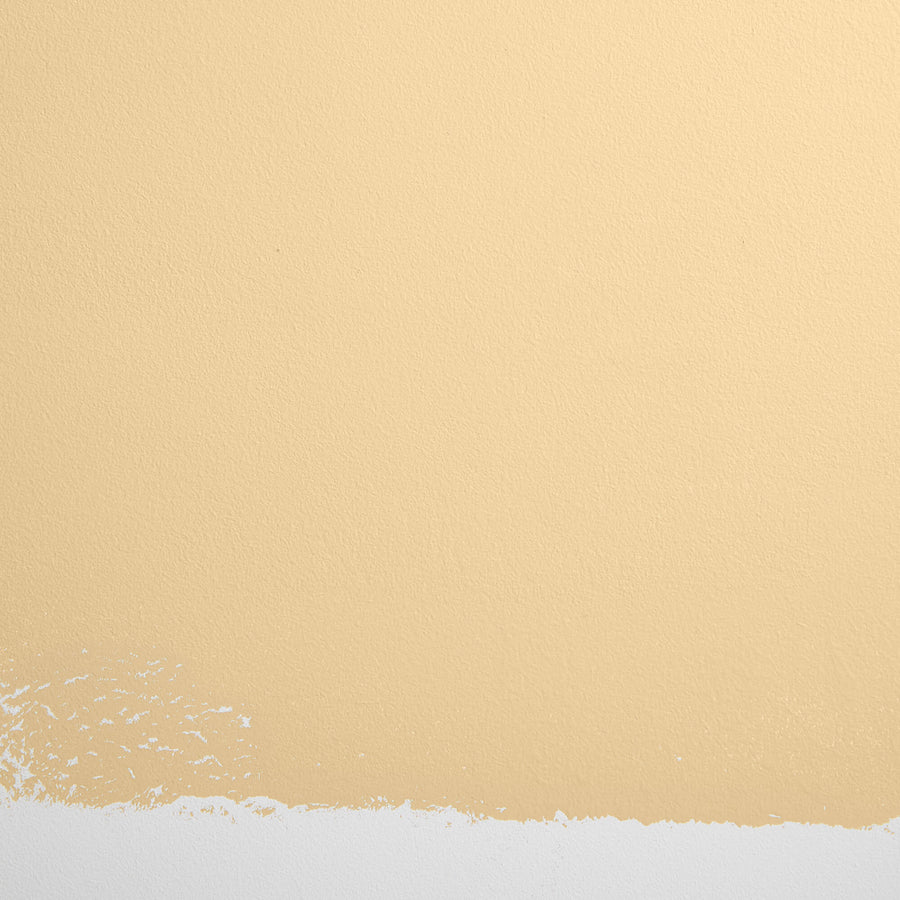 Cabinet & Door Interior Paint by Backdrop - Miami Parasol