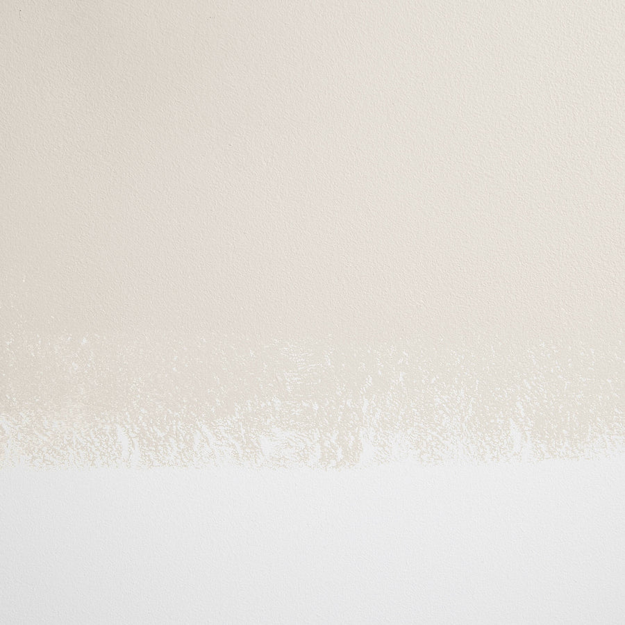 Cabinet & Door Interior Paint by Backdrop - Morning Ritual