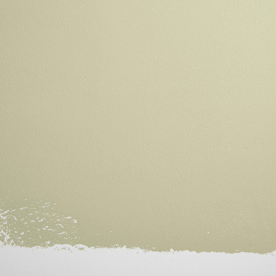 Cabinet & Door Interior Paint by Backdrop - Natural Habitat
