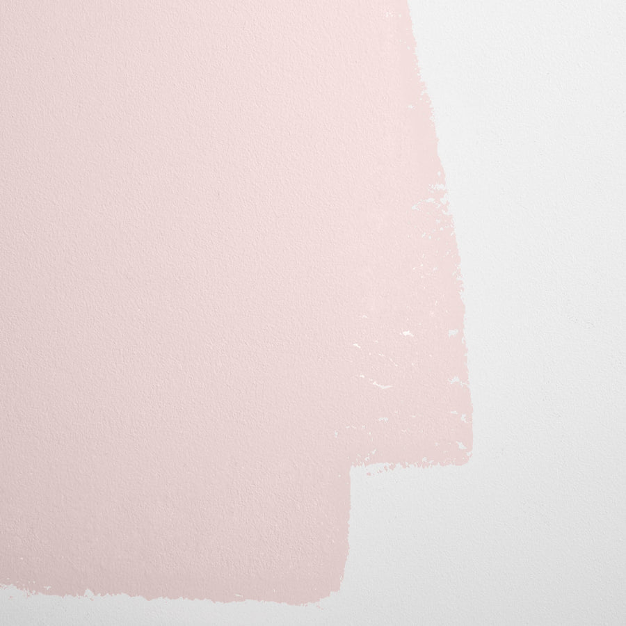 Cabinet & Door Interior Paint by Backdrop - Rose Quartz
