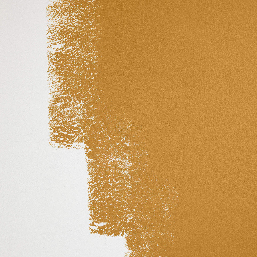 Cabinet & Door Interior Paint by Backdrop - Tanlines
